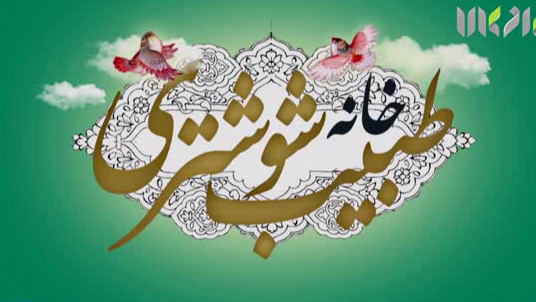  هتل سنتی طبیب